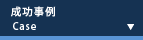成功事例